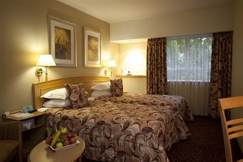 Hotel City Lodge Bloemfontein 12