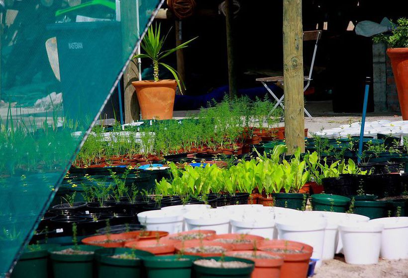 Hotel Camps Bay Retreat 17