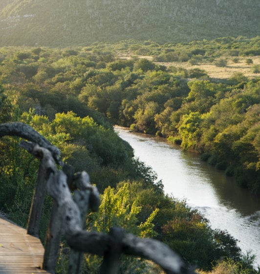 Hotel Kwandwe Private Game Reserve 2