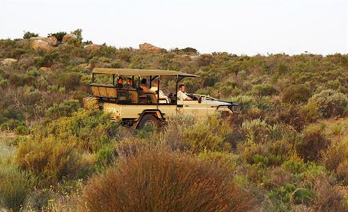 Hotel Bushmans Kloof Wilderness Reserve & Wellness Retreat 15
