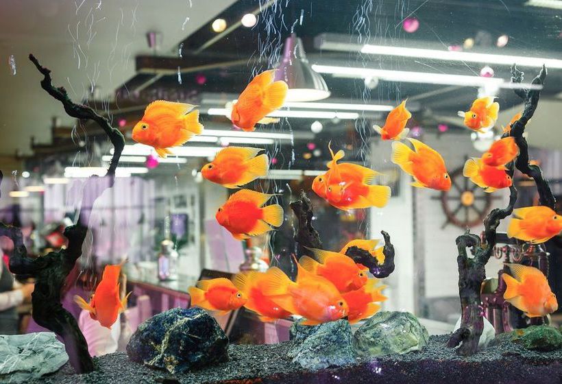 Hotel Central Nizhny Novgorod 16