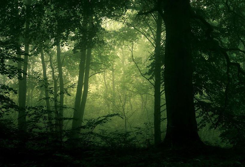 Hotel Bayrisches Haus 9