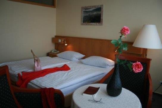 Panorama Hotel Oberwiesenthal 5