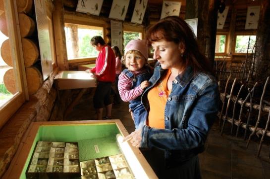 Panorama Hotel Oberwiesenthal 7