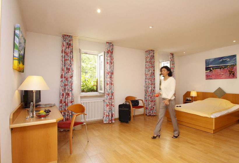 Hotel Schiller Freiburg 2