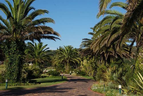 Quartet Hotel and Retirement Estate 12