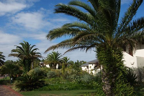 Quartet Hotel and Retirement Estate 13