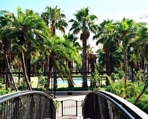 Island Club Hotel & Apartments 1