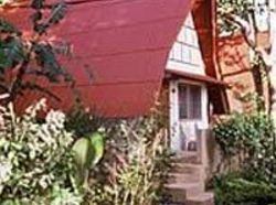 Hotel Krabi Seaview Resort 3