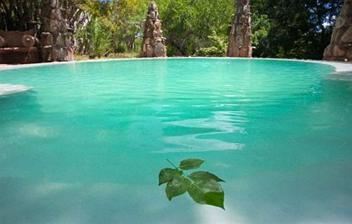 Hotel Makalali Private Game Lodge 15