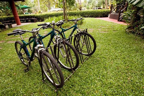 Chaba Cabana Beach Resort & Spa 5