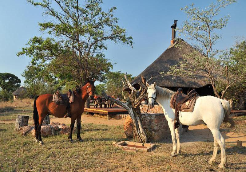 Hotel Kwafubesi Tented Safari Camp 20