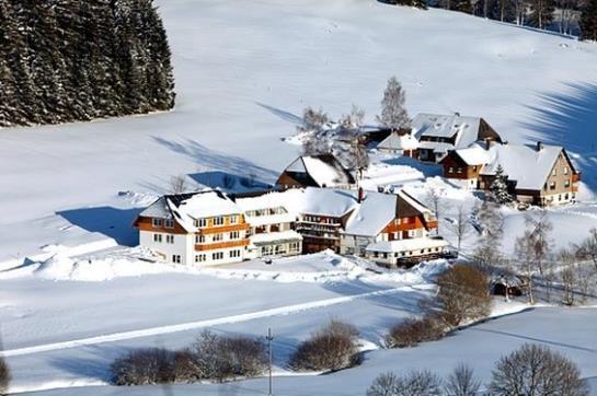 Hotel MD Kaltenbach 7