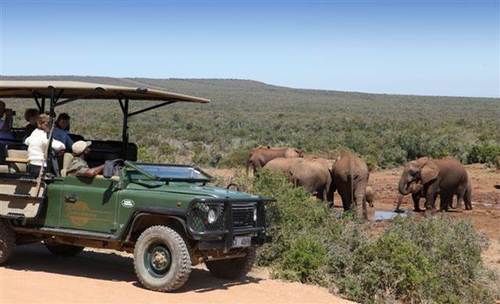 Hotel Zuurberg Mountain Inn 20