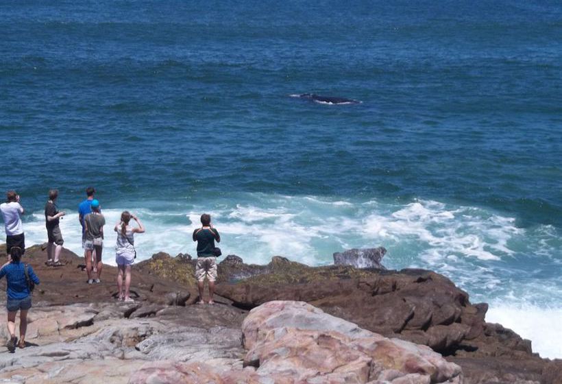 Windsor Hotel Hermanus 12