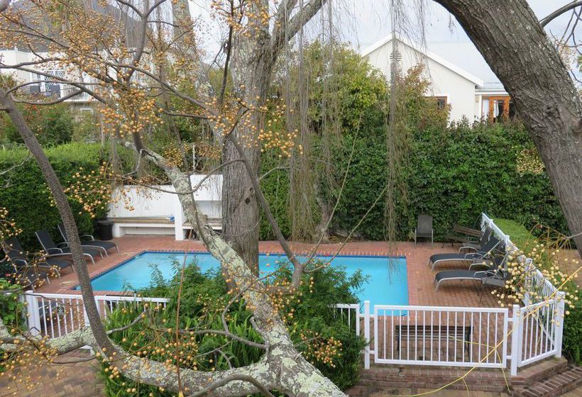 Hotel Fynbos Villa Guest House 6