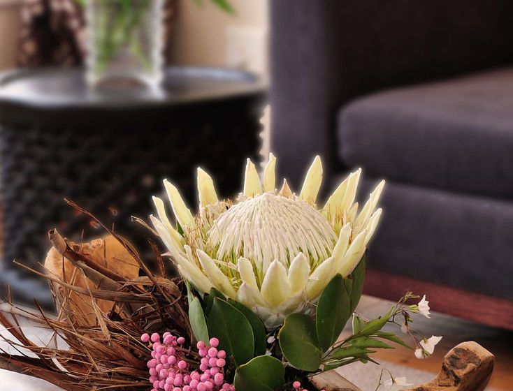 Apartamentos Barry Hall Luxury 4