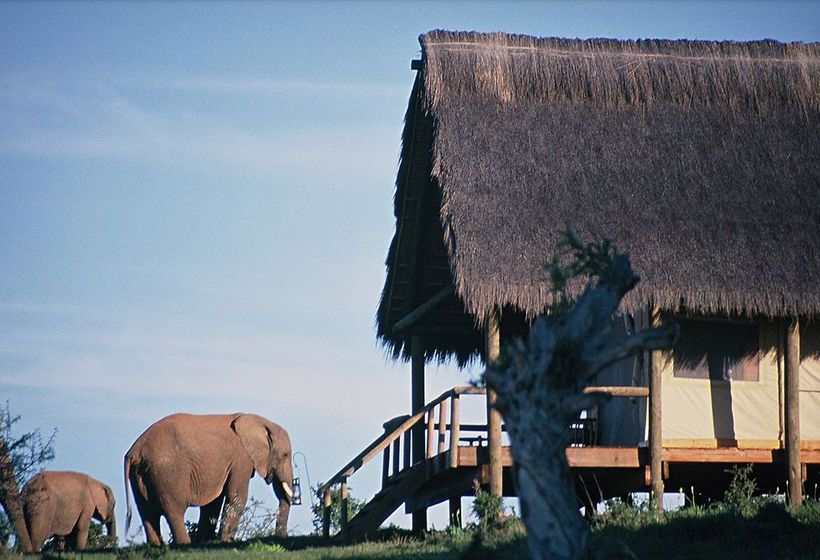 Hotel Gorah Elephant Camp Addo