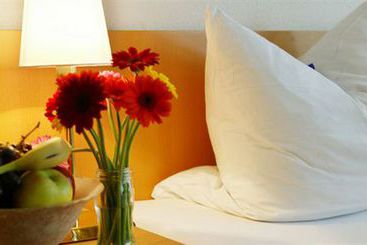 Hotel Boarding House Platanenhof 2