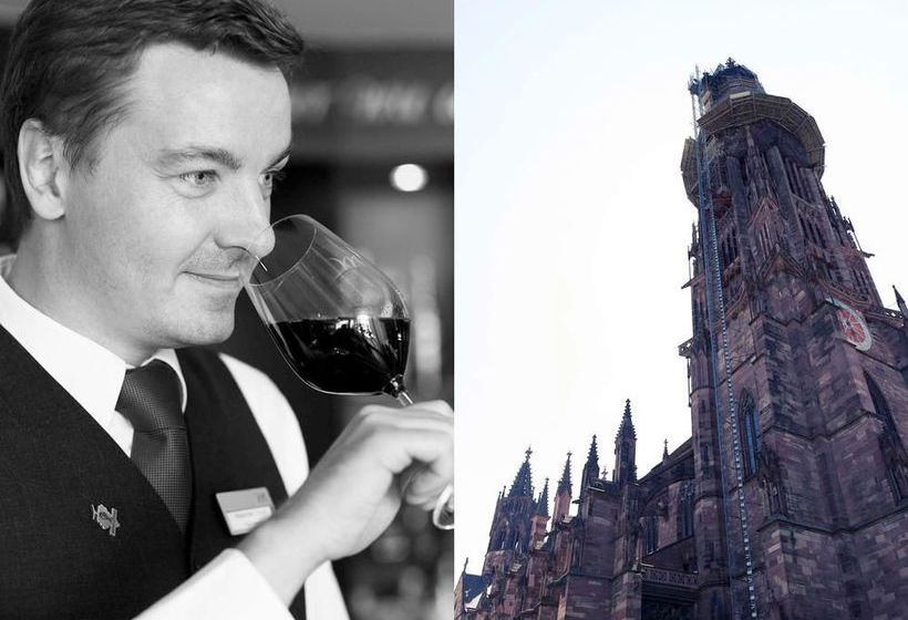 Mercure Hotel Freiburg Am Muenster 11