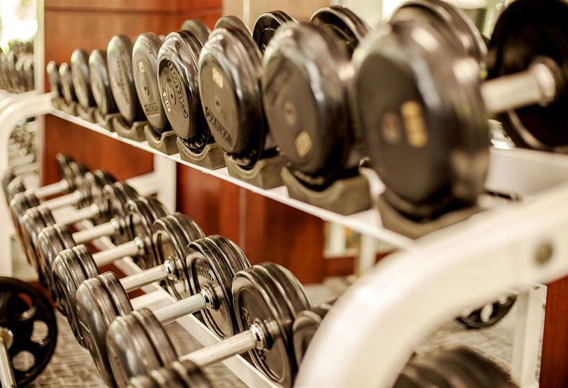 Hotel Horizon Karon Beach Resort 13