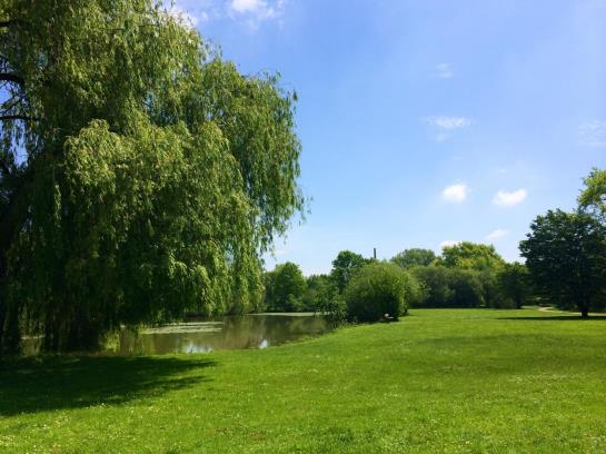 Hotel Haus Stallmeister 2