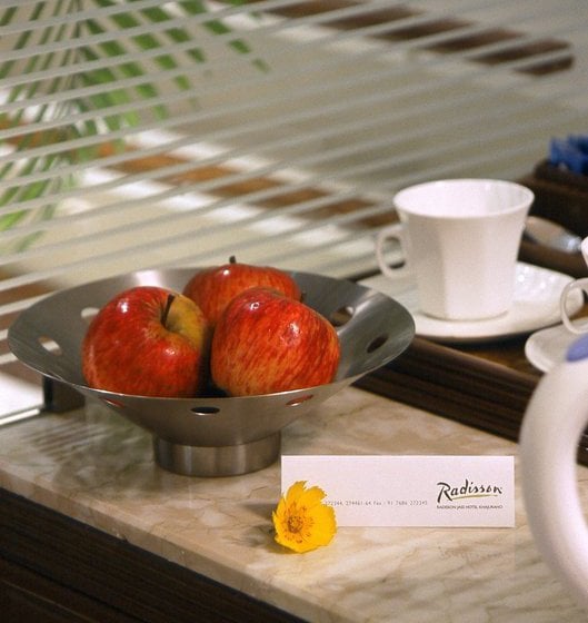 Radisson Hotel Khajuraho 17