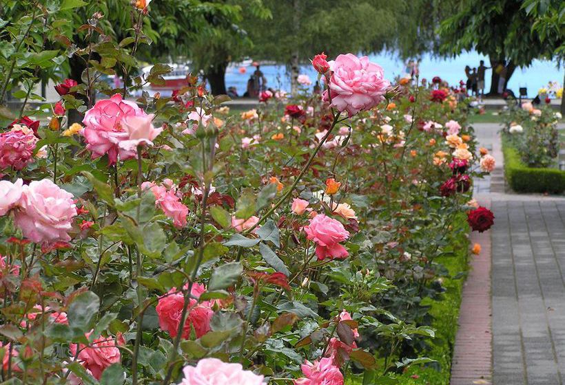 Novotel Queenstown Lakeside 14