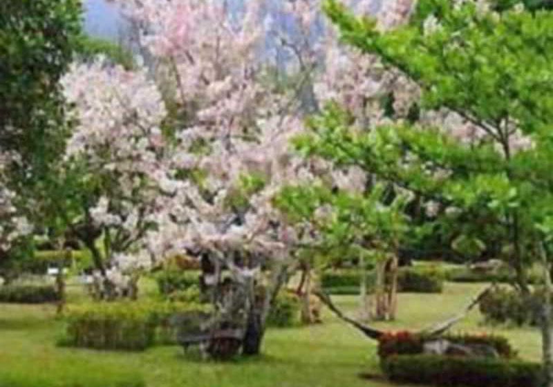 Hotel Muang Pai Resort 2