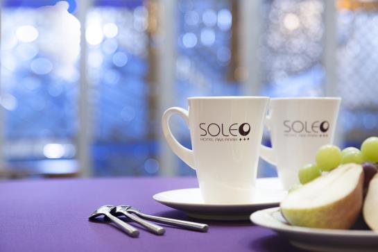 Soleo Hotel Am Park 20