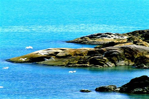 Hotel Racha Kiri Resort & Spa 9