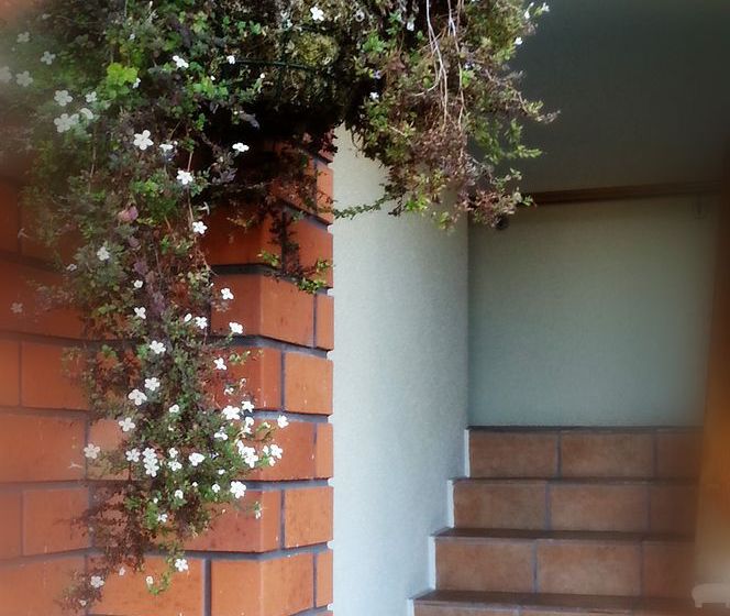 Rosewood Court Motel 15