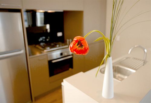 Hotel Alta Apartments 4