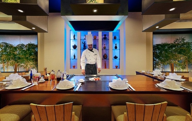 Hotel Radha Regent 13