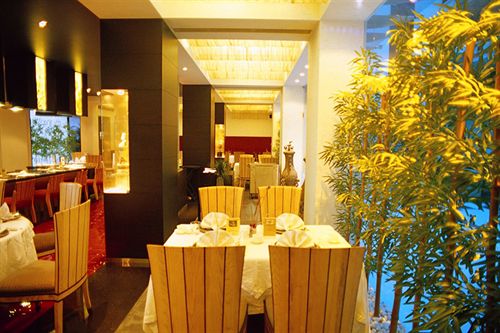 Hotel Radha Regent 17