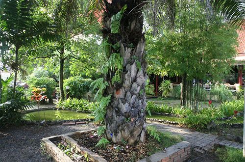 Hotel Pinnacle Wangmai Satun 16