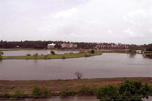 Hotel Lazy Lagoon Sarovar Portico Suites 10