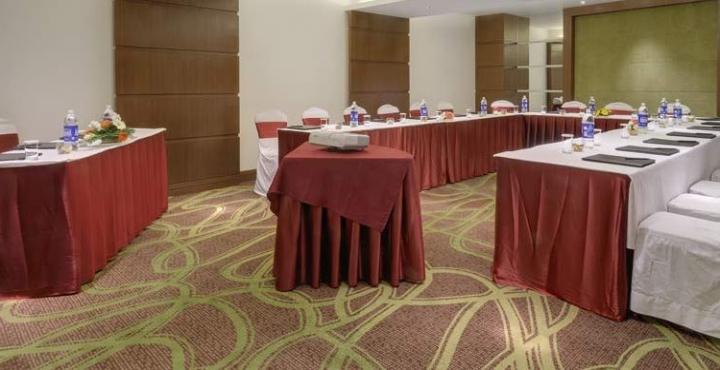 The Pride Hotel Ahmedabad 13