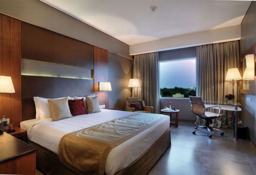 Hotel Pradhyuman Lords Inn 8