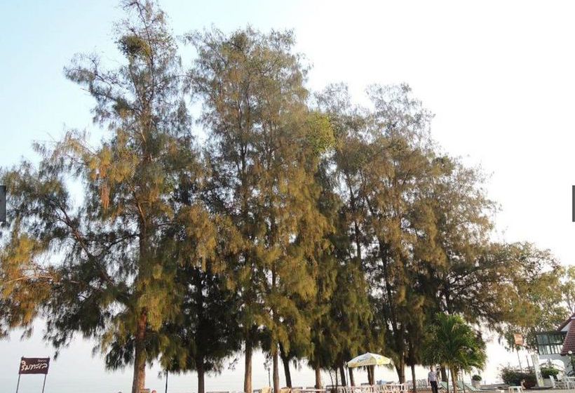 Hotel Eurasia Cha-am Lagoon 17