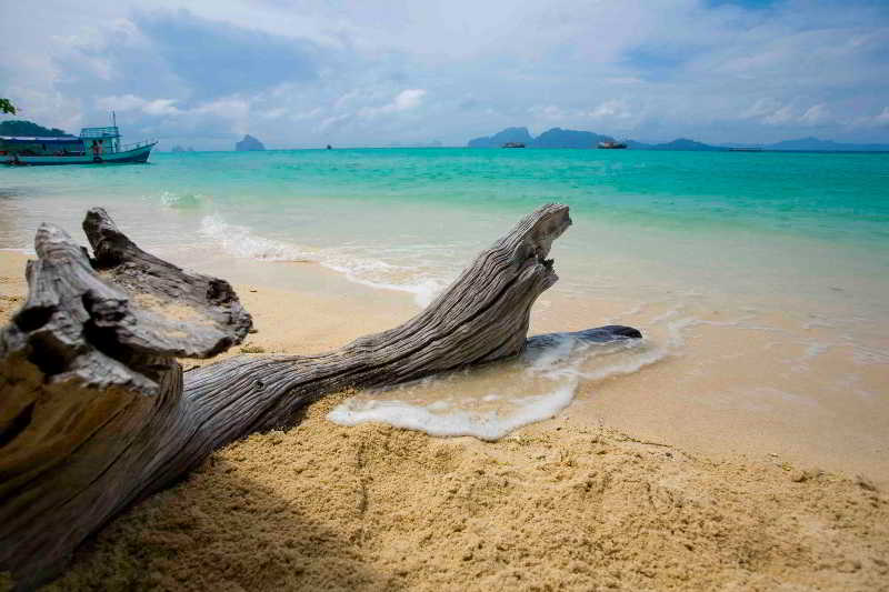 Hotel The Sevenseas Resort 19