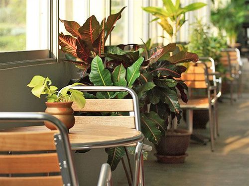 Phuket Heritage Hotel 10