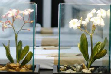 King Park Avenue Hotel 16