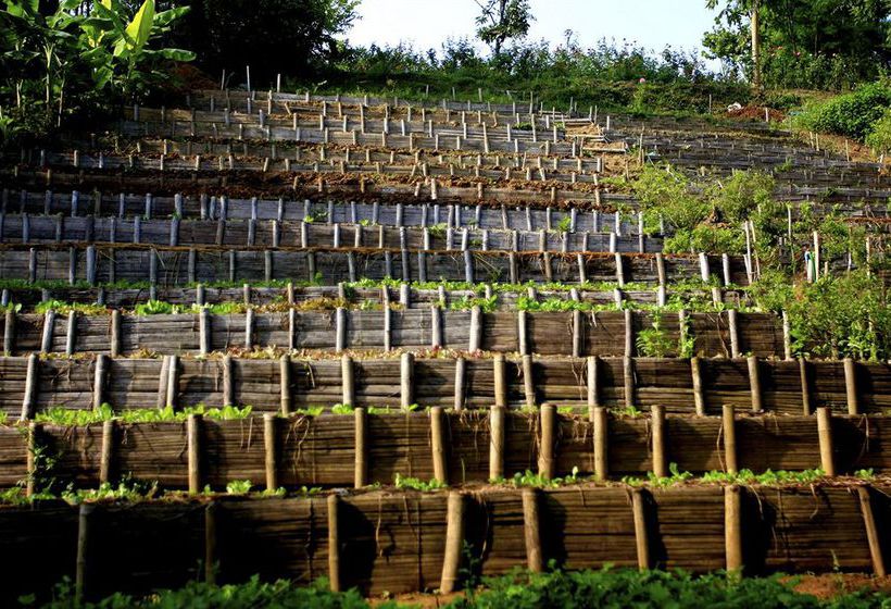 Hotel Phu Chaisai Mountain Resort & Spa 12