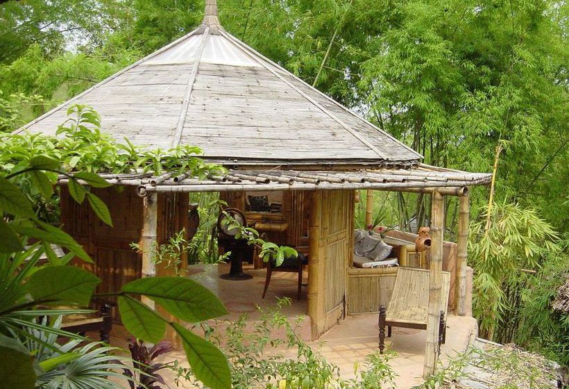 Hotel Phu Chaisai Mountain Resort & Spa 13