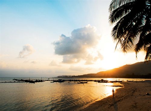 Resort Samaya Bura 16