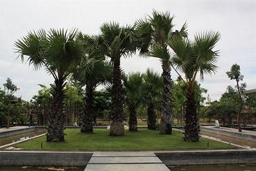 Pattara Resort & Spa 9