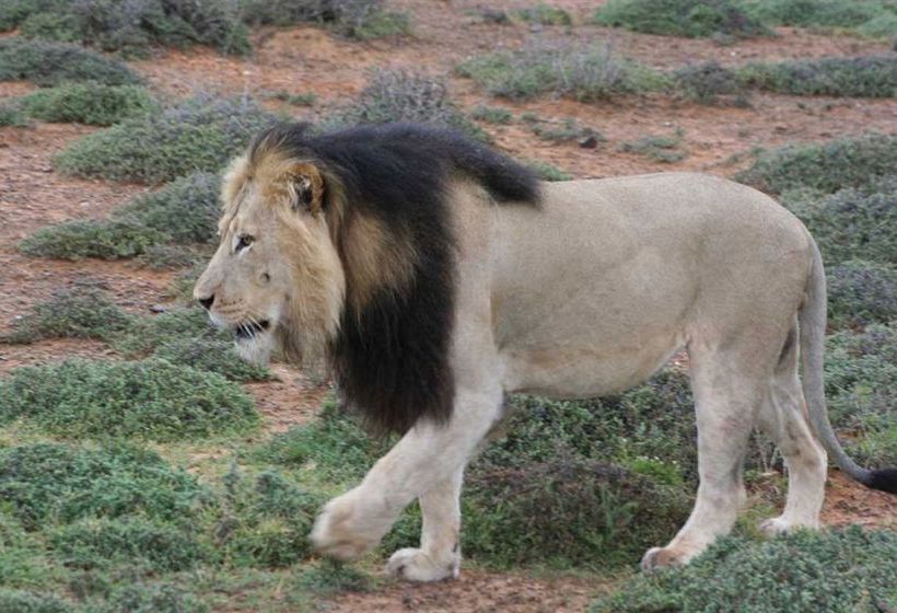 Hotel Kuzuko Lodge 7