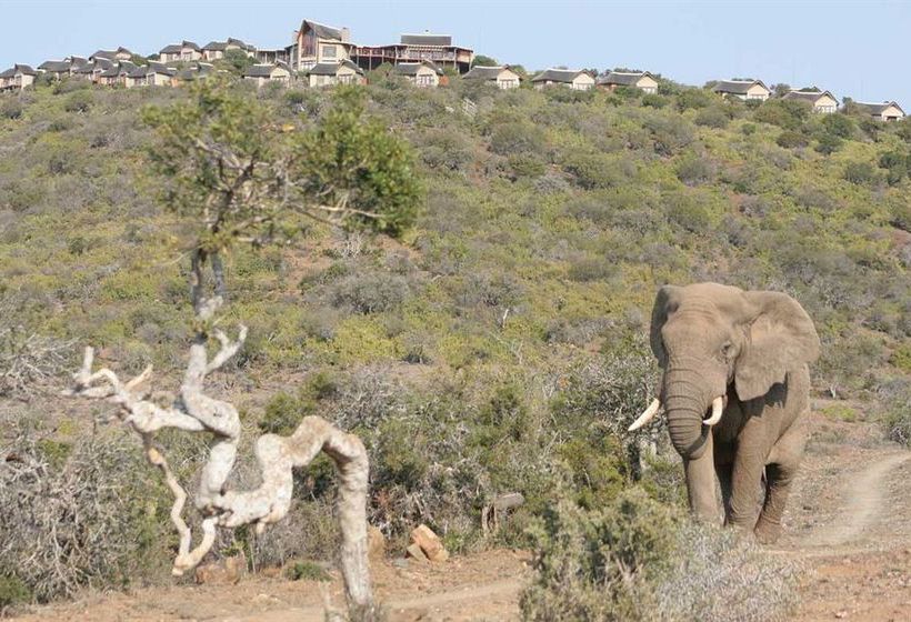 Hotel Kuzuko Lodge 8