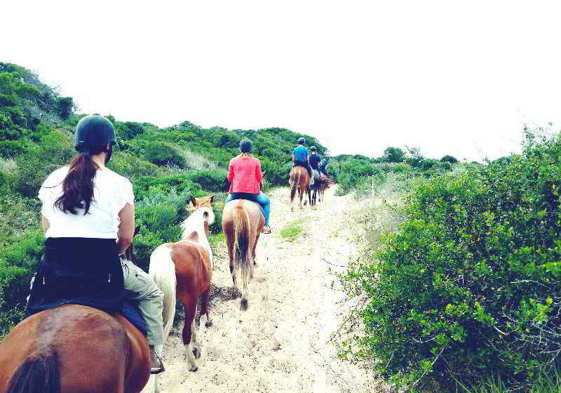 Hotel Oyster Bay Lodge 10